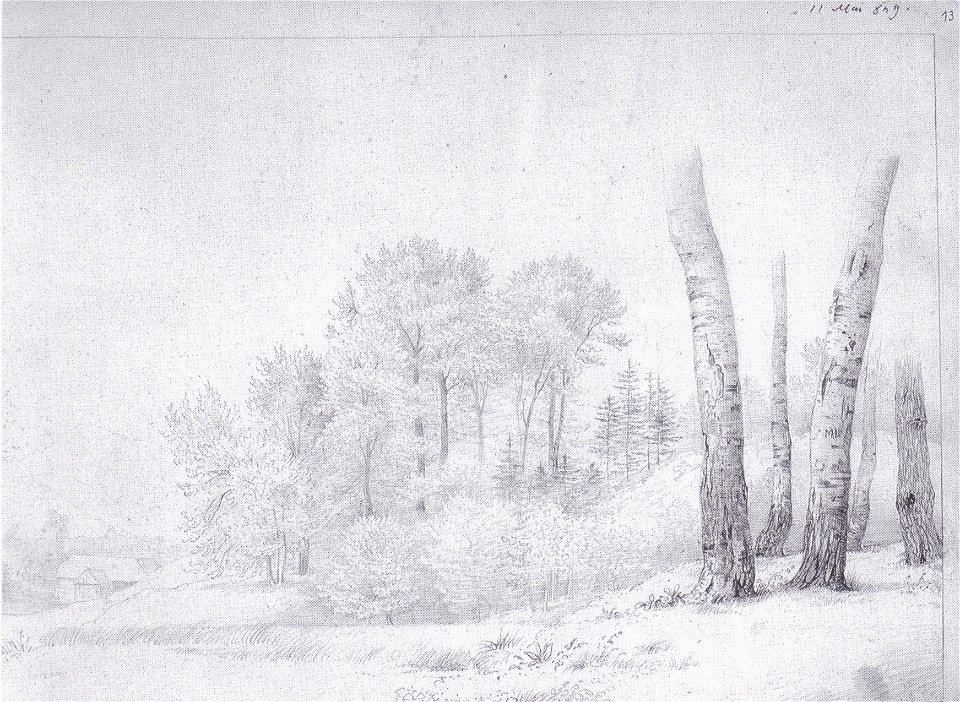Markus Pernhart - Waldlandschaft - 1849