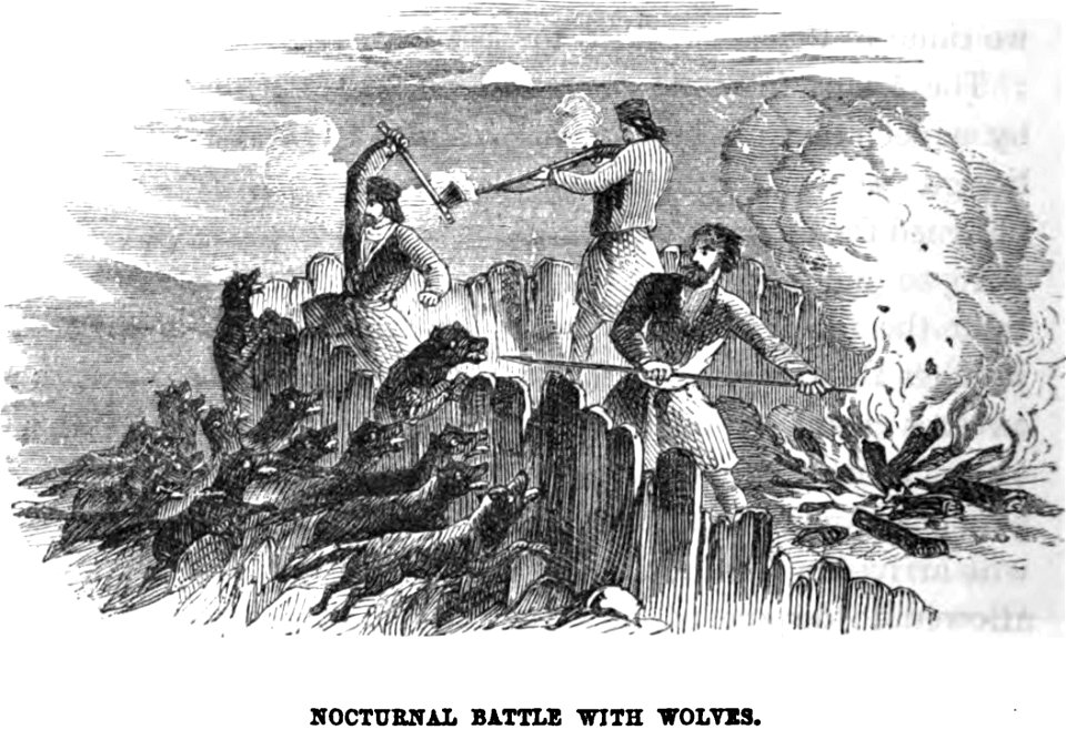 Nocturnal Battle with wolves. Edmund Spencer. Turkey, Russia, the Black Sea, and Circassia.P.142. Free illustration for personal and commercial use.