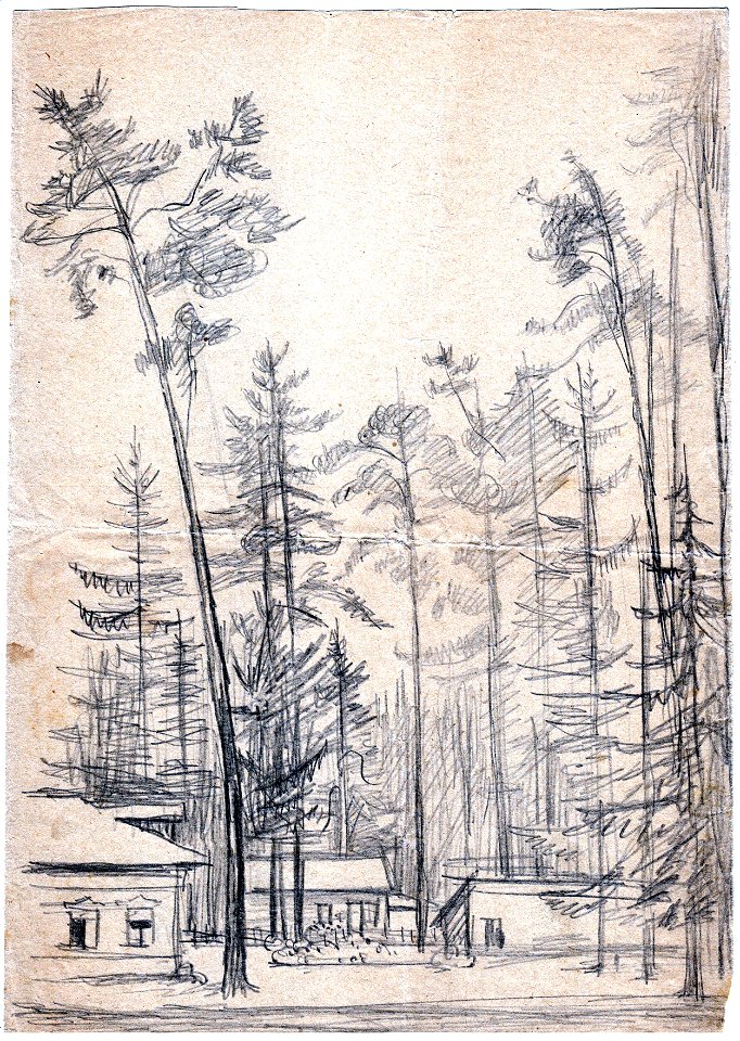 MarkinSI-draw