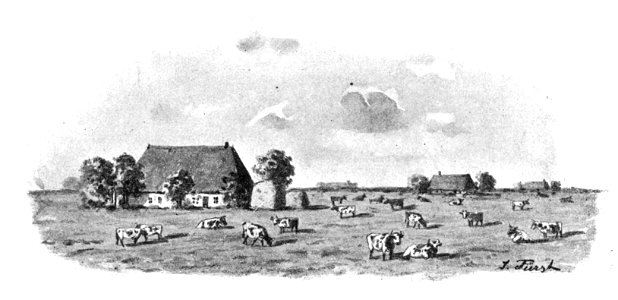 Marsch bei Büsum 01
