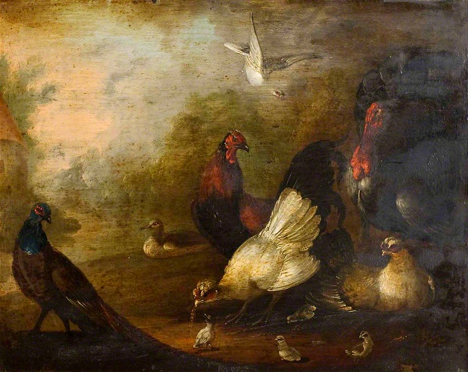 Marmaduke Cradock (c.1660-1717) (attributed to) - Chickens, Turkey and a Peacock - 836200.2 - National Trust