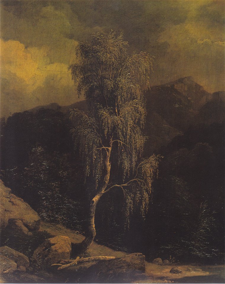 Markus Pernhart - Birke