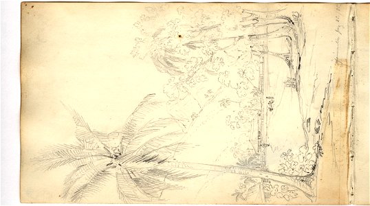 Martens, Apareaitu (image 64, page 43r)
