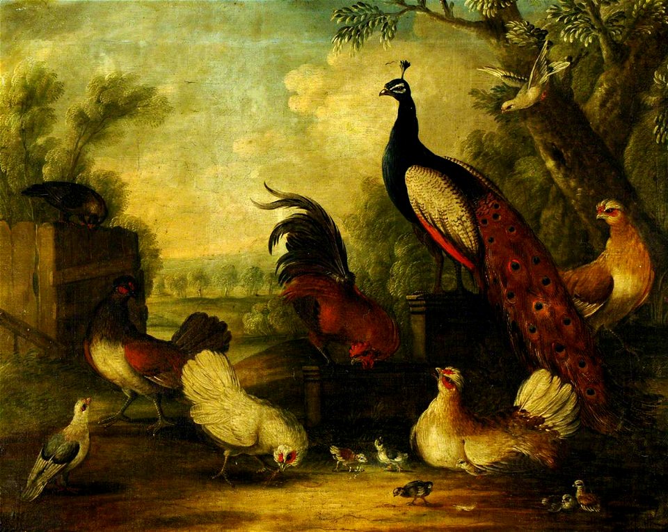 Marmaduke Cradock (c.1660-1717) - A Group of Ornamental Fowl in a Landscape - 290453 - National Trust