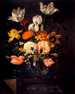 Marrel, Jacob - Still-Life with Flowers - Google Art Project. Free illustration for personal and commercial use.