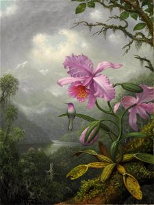 Martin Johnson Heade - Hummingbird Perched on the Orchid Plant. Free illustration for personal and commercial use.