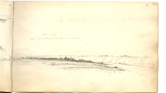 Martens, -Santa Cruz River- (image 18, page 13r)