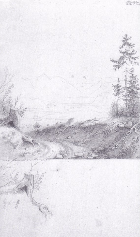 Markus Pernhart - Vordergrund - 1843