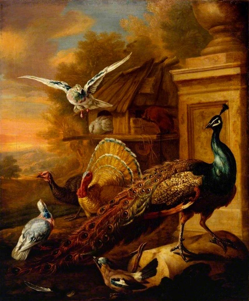 Marmaduke Cradock (c.1660-1717) - A Peacock and Other Birds in a Landscape - T06488 - Tate