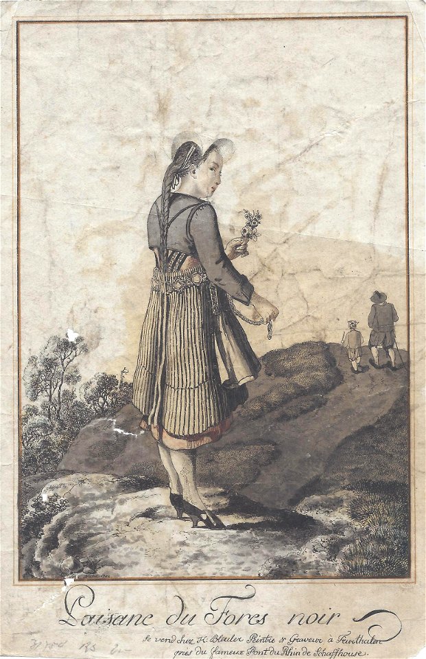Marquard Wocher Paisane du Fores noir