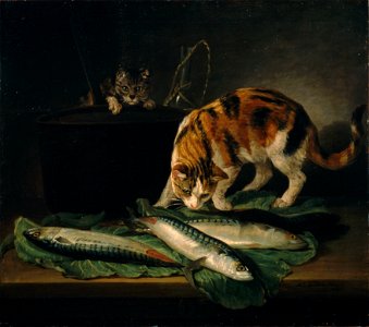 Martin Ferdinand Quadal - Katzen und Fische - 4052 - Österreichische Galerie Belvedere