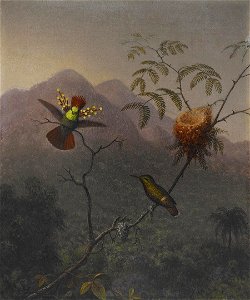 Martin Johnson Heade - Tufted Coquette - 2006.86 - Crystal Bridges Museum of American Art