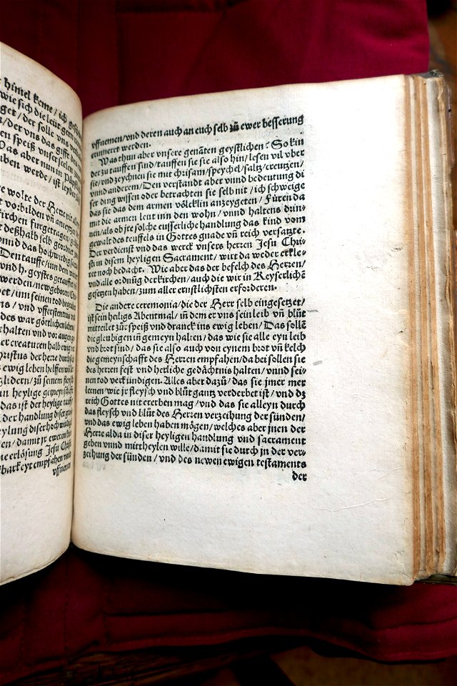 Martin Bucer-Drei predige aus dem Evangelio (3)