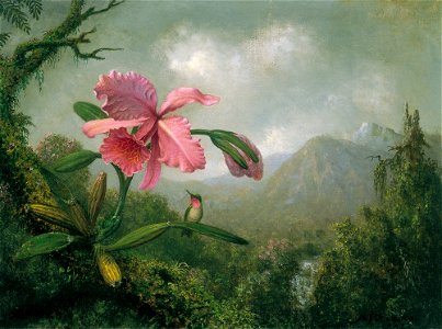 Martin Johnson Heade - Orchid and Hummingbird near a Mountain Waterfall. Free illustration for personal and commercial use.