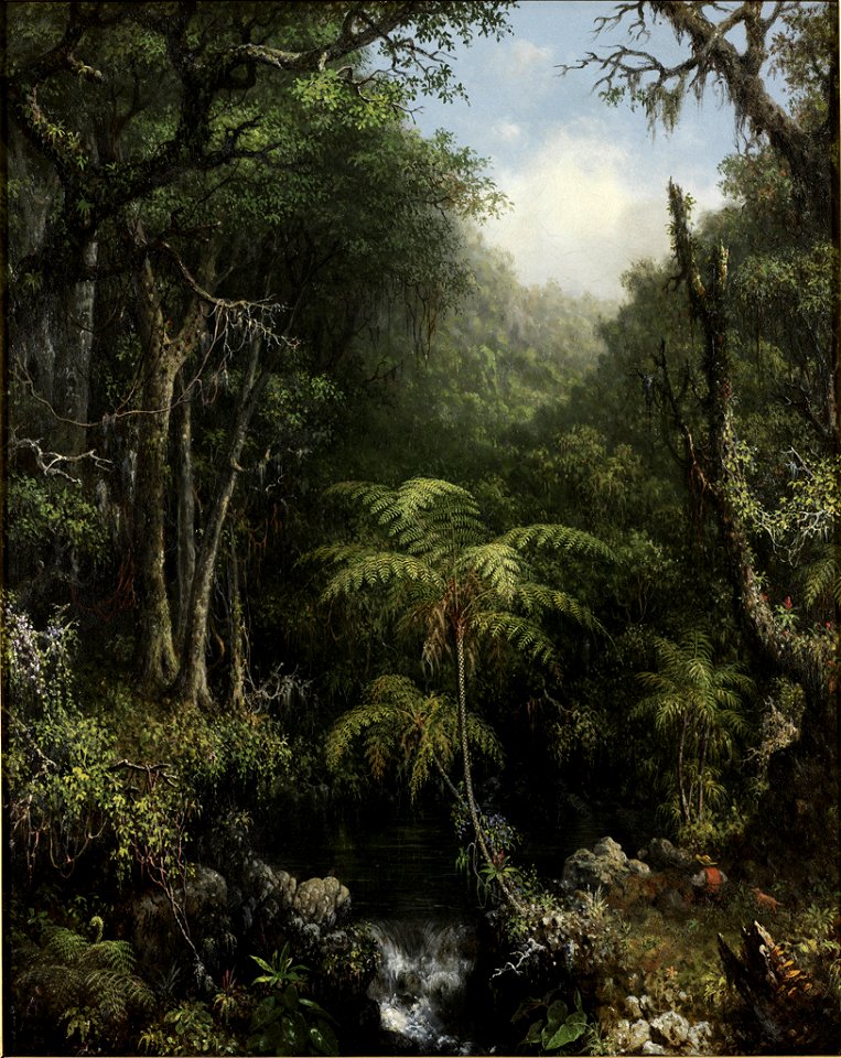 Martin Johnson Heade - Brazilian Forest - 68.052 - Rhode Island School of Design Museum