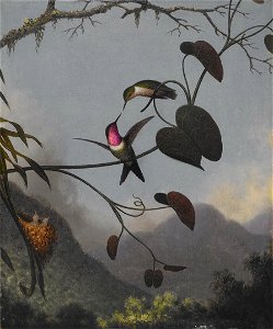 Martin Johnson Heade - Amethyst Woodstar - 2006.84 - Crystal Bridges Museum of American Art