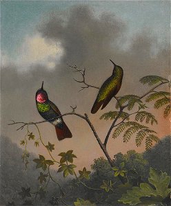 Martin Johnson Heade - Brazilian Ruby - 2006.82 - Crystal Bridges Museum of American Art. Free illustration for personal and commercial use.