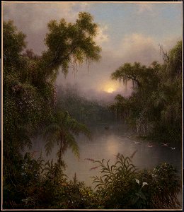 Martin Johnson Heade - South American River - 47.1153 - Museum of Fine Arts. Free illustration for personal and commercial use.