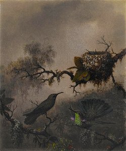 Martin Johnson Heade - White-vented Violet-ear - 2006.90 - Crystal Bridges Museum of American Art