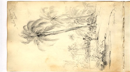 Martens, Apareaitu (image 66, page 44r)