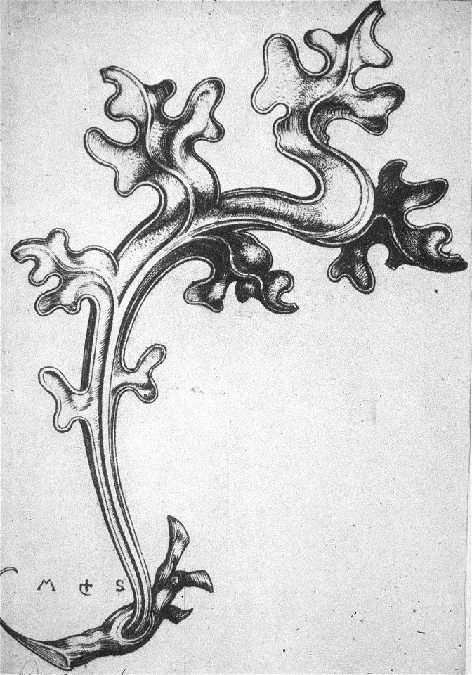 Martin Schongauer - Drittes Krabbenornament (L 113)