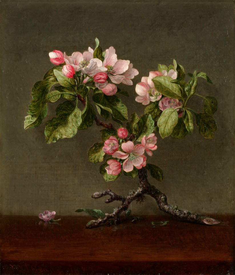 Martin Johnson Heade - Apple Blossoms - 411.1915 - Cleveland Museum of Art