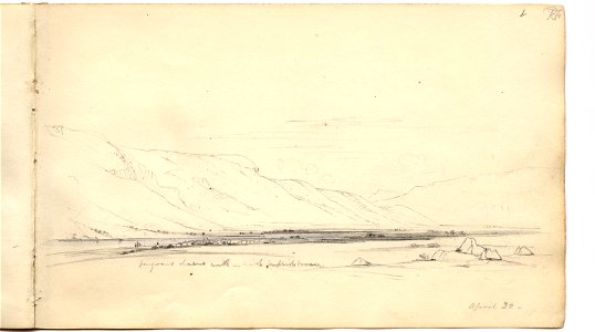 Martens, -Santa Cruz River- (image 12, page 8r)