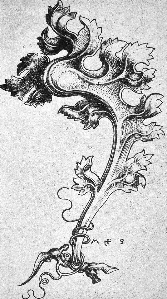 Martin Schongauer - Erstes Krabbenornament (L 111)