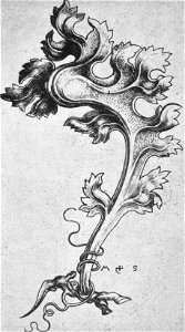 Martin Schongauer - Erstes Krabbenornament (L 111)