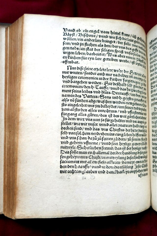 Martin Bucer-Drei predige aus dem Evangelio (4)