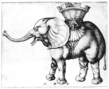 Martin Schongauer Elefant