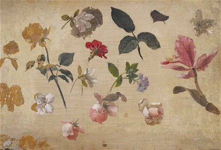 Martin Johnson Heade - Study of Pink Roses, Leaves, Heliotrope, a Carnation and an Orchid - 2007.209 - Crystal Bridges Museum of American Art. Free illustration for personal and commercial use.