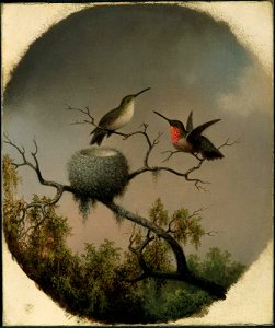 Martin Johnson Heade - Hummingbirds with Nest - 64.429 - Museum of Fine Arts. Free illustration for personal and commercial use.