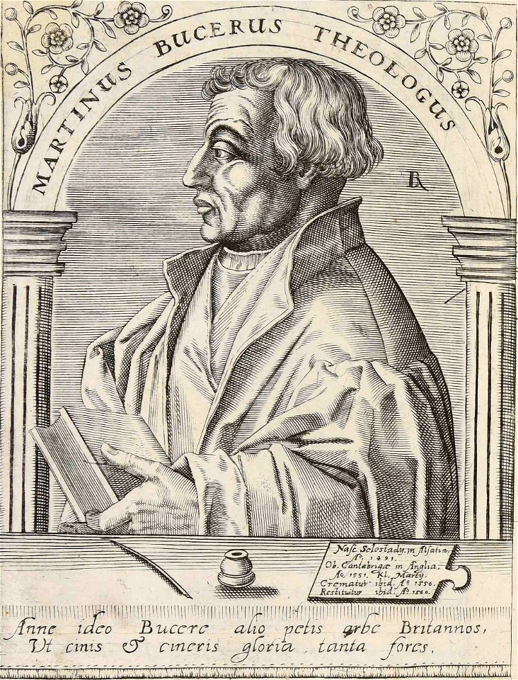 Martin Bucer theologus (cropped)