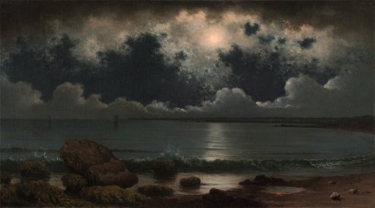 Martin Johnson Heade - Point Judith, Rhode Island - 1970.161 - Cleveland Museum of Art