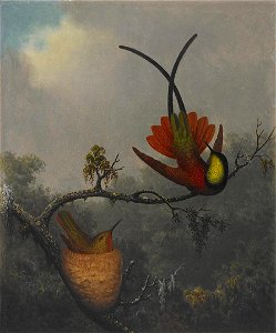 Martin Johnson Heade - Crimson Topaz - 2006.94 - Crystal Bridges Museum of American Art