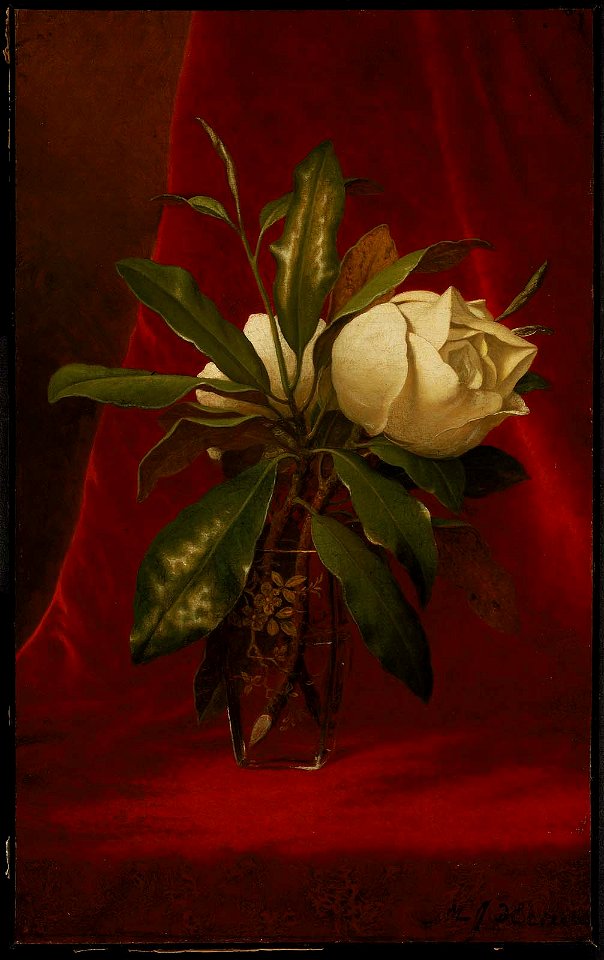Martin Johnson Heade - Magnolias - 47.1157 - Museum of Fine Arts