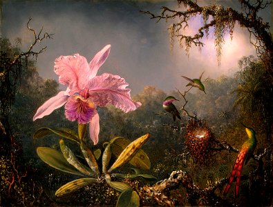 Martin Johnson Heade-Cattleya Orchid and Three Brazilian Hummingbirds. Free illustration for personal and commercial use.