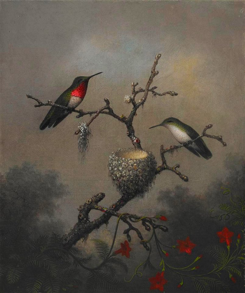 Martin Johnson Heade - Ruby-throated Hummingbird - 2006.91 - Crystal Bridges Museum of American Art