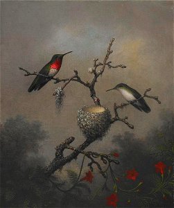 Martin Johnson Heade - Ruby-throated Hummingbird - 2006.91 - Crystal Bridges Museum of American Art. Free illustration for personal and commercial use.