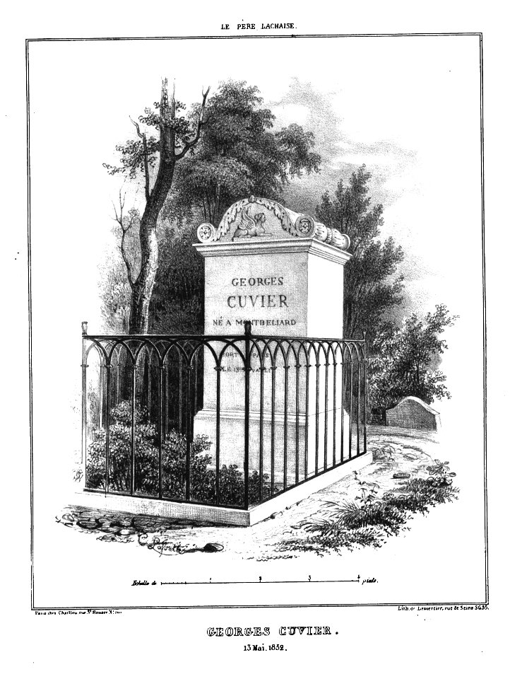 Marty - Les principaux monuments funéraires - Cuvier