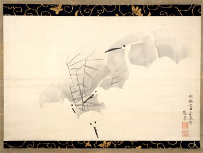 Maruyama Ōkyo - White Herons - 1975.268.71 - Metropolitan Museum of Art