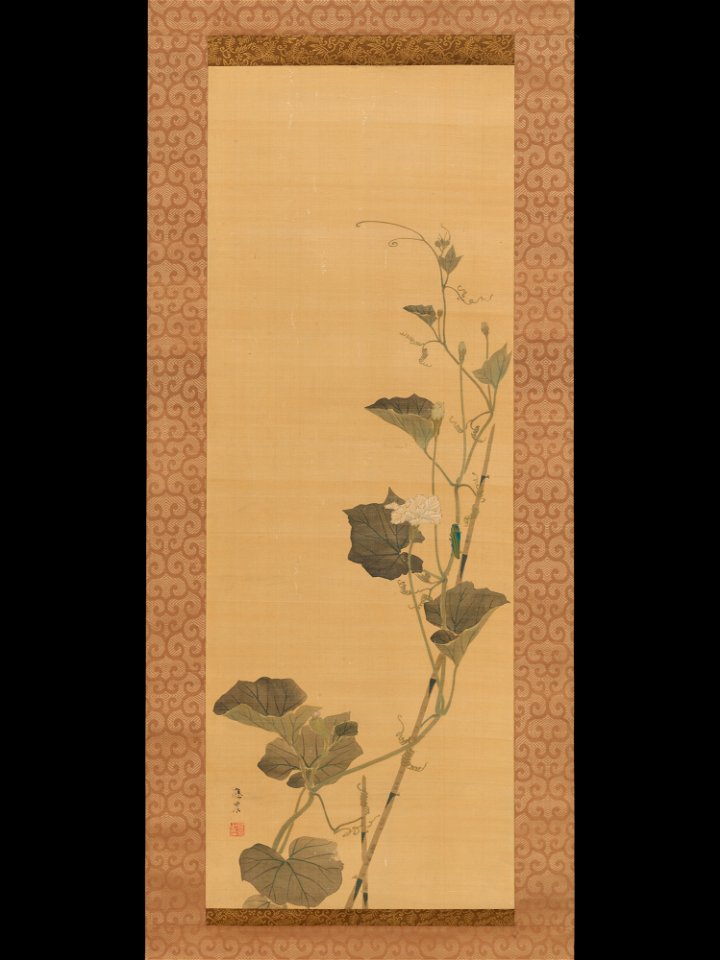 Maruyama Ōshin - Calabash Flowers and Beetle - 2015.300.200 - Metropolitan Museum of Art