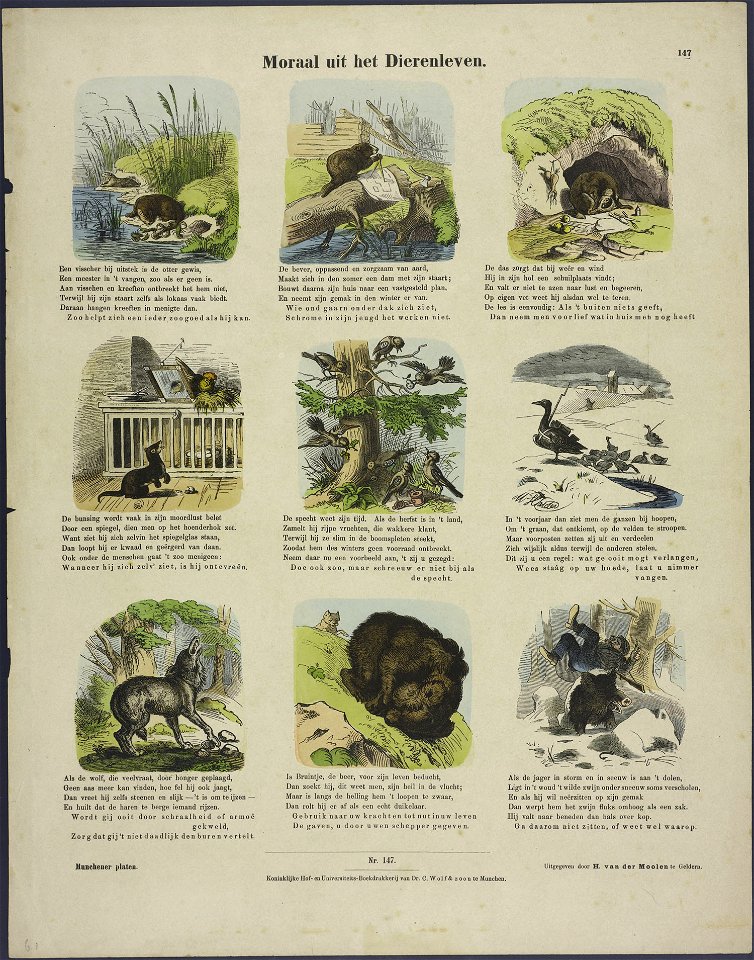 Moraal uit het dierenleven-Catchpenny print-Borms 0094