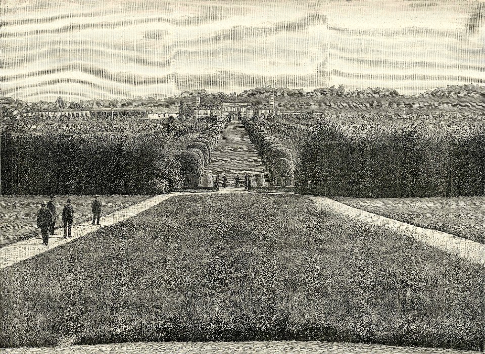Monza il Viale dei Palloni nella Villa Reale