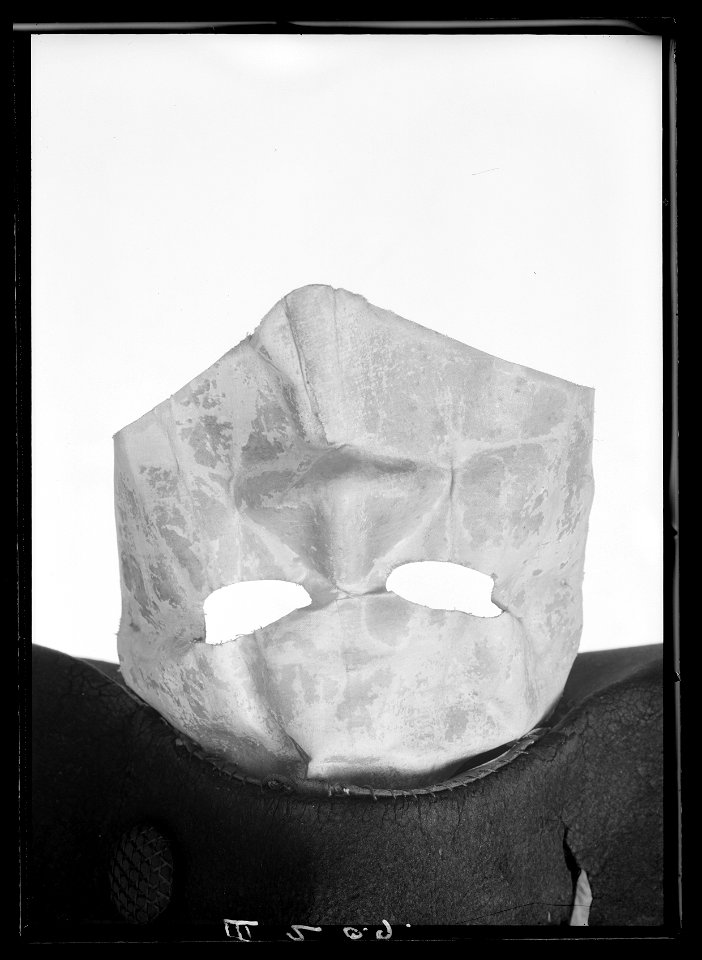 Mask till Gustav III buren vid operamaskeraden den 16 mars 1792 - Livrustkammaren - 18504
