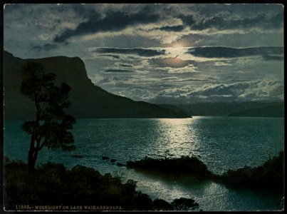 Moonlight on Lake Waikaremoana LCCN2017649298