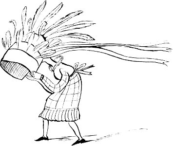 More Nonsense, Pictures, Rhymes, Botany, etc. (1872), There was a young person in red