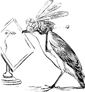 More Nonsense, Pictures, Rhymes, Botany, etc. (1872), The Judicious Jubilant Jay