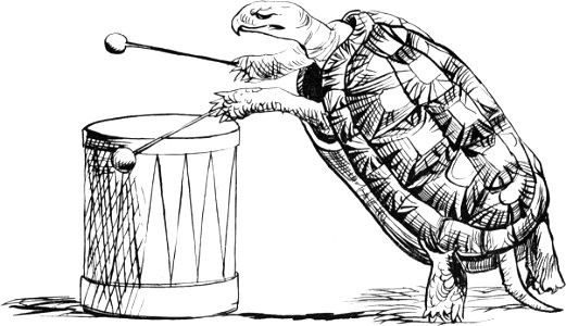 More Nonsense, Pictures, Rhymes, Botany, etc. (1872), The Tumultuous Tom-tommy Tortoise